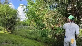 Surprising My Sister With a FREE Fence Line Transformation (She Works So Hard 💔)