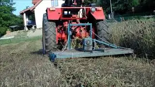 Koszenie facelii Władimirec t-25 w kosiarce łańcuchowej