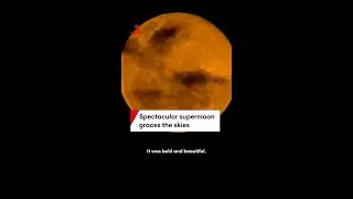 Spectacular supermoon graces skies over Australia