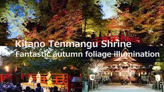 Kitano Tenmangu Shrine, Kyoto, Japan - Fantastic autumn foliage illumination