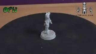 LION TOWER MINIATURES RPG HEROES