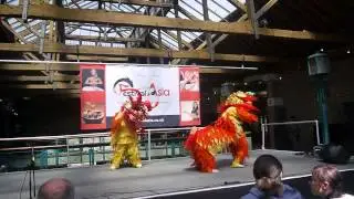 FestivalAsia - Double Lion Dance