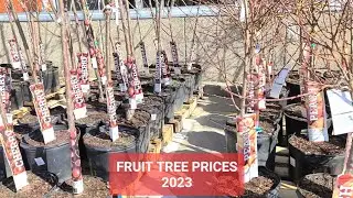 Home Depot Fruit Trees 2023, Fruit Tree Review: Apple Trees, Asian Pear Trees, Cherry Trees | Garden