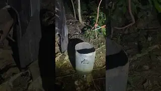 Python caught by farmers #snake #farmers #reels #ytshort