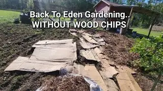 Back to Eden GARDENING WITHOUT WOOD CHIPS