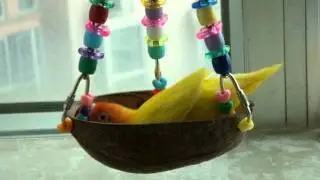 MOV07551