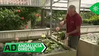 Andaluc&iacute;a Directo |Visitamos el jard&iacute;n que alberga la mayor colecci&oacute;n de nen&uacute;fares de Espa&ntilde;a