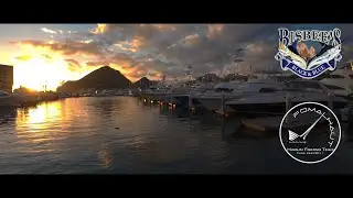BISBEE'S Black&Blue2023  【Never Give Up】/  Fomalhaut Marlin and Fishing Club