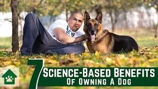7 Science Based Benefits of Owning a Dog ! Pet Lovers