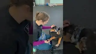 How to Make Nail Trimming EASY