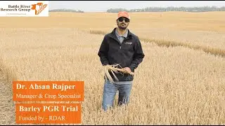 Feed Barley Demonstration: PGR and N rate effects on lodging and yield