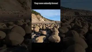 Discover the hidden gem of Bowling Ball Beach in California 🤩🎳