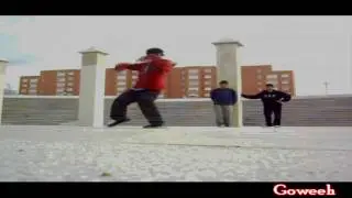 c-walk . GoweeH , Vady & Th.Silva (BITCHES)