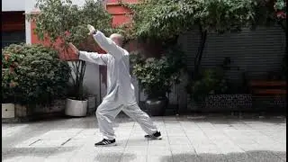 Litianji Taijiquan Yang 29 tradicional