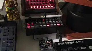 KORG SQ-1, BASTL KASTL, MFB 522, LINN DRUM (NI MASCHINE)