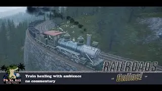 Railroads Online - Train hauling with Ambience - No Commentary