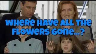 Where have all the flowers gone?