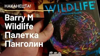 Обзор и свотчи Barry M. Палетка Wildlife с панголином