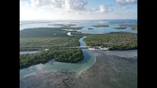 FLORIDA KEYS' TOP SECRET FISHING SPOT, REVEALED!!!