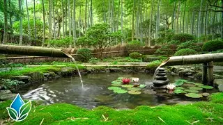 Water Sound Therapy: Tranquility in a Bamboo Garden | Relaxing Music & Soul Soother