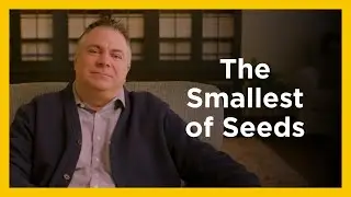 The Smallest of Seeds - Radical & Relevant - Matthew Kelly
