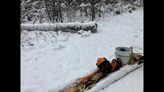 Echo CD3510, swail trail wind damaged trees, Jan 4, 2026