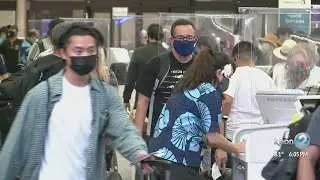 With summer travel about to hit its peak, TSA and Hawaii airports need more workers