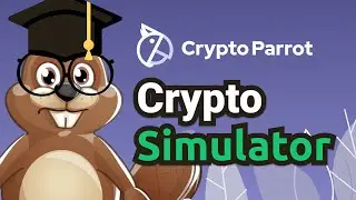 Обзор симулятора торговли Crypto Parrot
