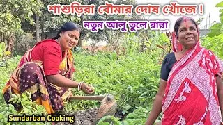 শাশুড়ি বৌমার দোষ খোঁজে! নতুন আলু তুলে কৈ মাছ সাথে দুটি পদ রান্না খাওয়া! Sundarban Cooking 