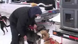 Charley Bejna and Iditarod Trail Kennel Team- Knik 200 Sled Dog Race 2012