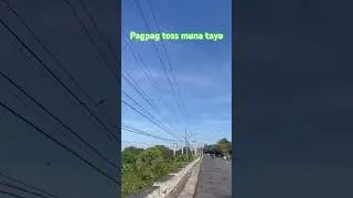 Pagpag toss habang wala pang karera #racingpigeon #kalapati #kalapatids #pigeonhobby #birds