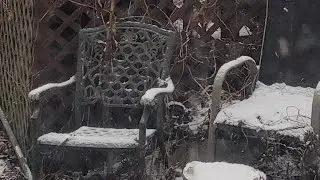 Lao Poet Backyard Snow Cam. January 2026 edition. Thrills a minute 🤣