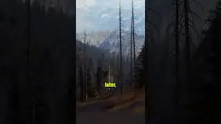 GPS Hiking Fail 📱🌲 #survival #hiking #camping #gpsfail #funnyoutdoors #shortstory