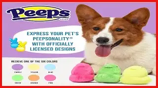 Peeps for Pets 4