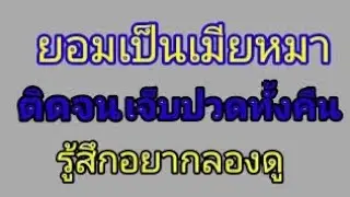 เรื่อง ฉันรับฝากน้องหมา