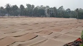 উজানী মাহফিলের ভিডিও