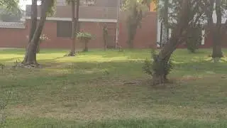 Parque de Chaclacayo Colegio Estenos