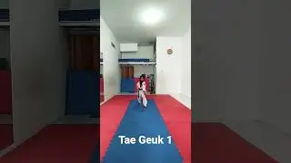 Jurus Tae Geuk 1, N-Lion's Taekwondo Tangerang