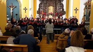 El son de Notre Dame