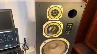 Loa CORAN DX-7 kiềng GOLD đẹp đứt tay đẹp cạn lời rin đ&eacute;t nghe hay b&agrave;y đẹp gi&aacute; y&ecirc;u 0966.603.183