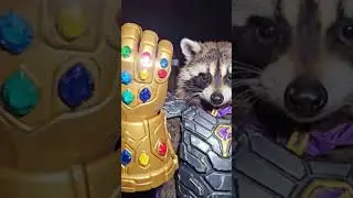 He found the Infinity Gauntlet&hellip; behind a dumpster. Power feels like a full stomach&hellip;.