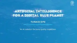 FAO AI4DBP TUNASCOPE &ndash; An AI solution for tuna quality inspection