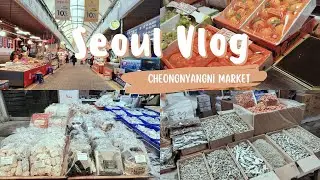 KOREA VLOG 🇰🇷 | VISTING A CHEONGNYANGNI TRADITIONAL MARKET IN SEOUL
