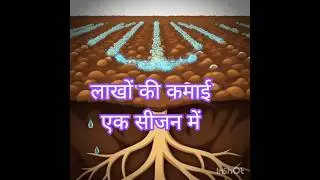 Annapurna Khad/Fertilizer #farming #potato #agriculture #science #plants #organic #farmer #kisan