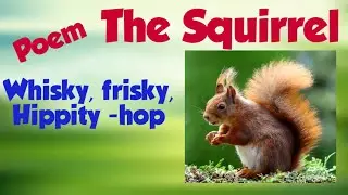 poemThe squirrel|poem whisky frisky|whisky frisky Hippity hop|grade2|poem the squirrel|whisky frisky