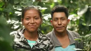 Mayorga Coffee: Conectando Latinoam&eacute;rica a trav&eacute;s del caf&eacute;