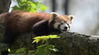 Zoo de Lille - Mai 2023