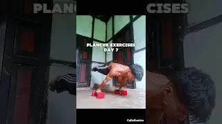 Day 7 Planche Progress Street Workout