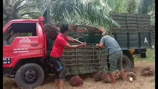 #hariini #lodingdengan #kawanlamalagi #pokokrendah