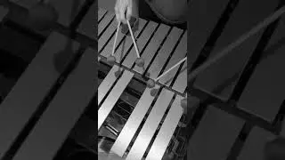 Latin Jazz Vibes #jazzvibraphone #montuno #shorts